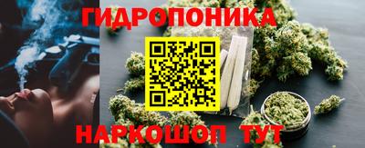 гидропоника Гагарин