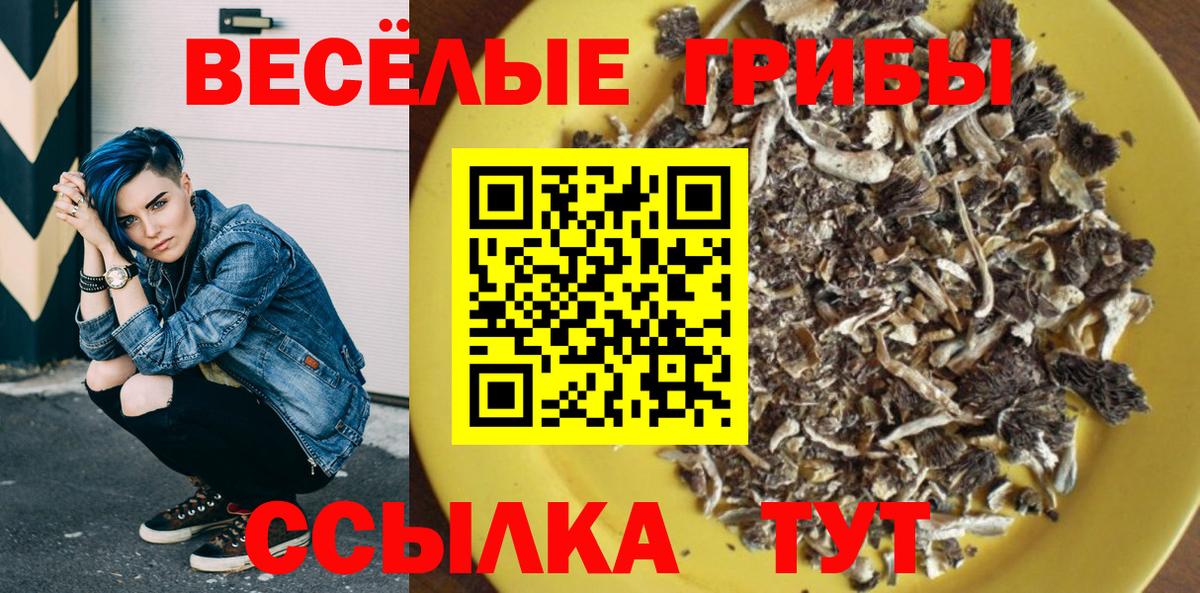 цена   Галлюциногенные грибы прущие грибы  Вход с VPN  Москва 