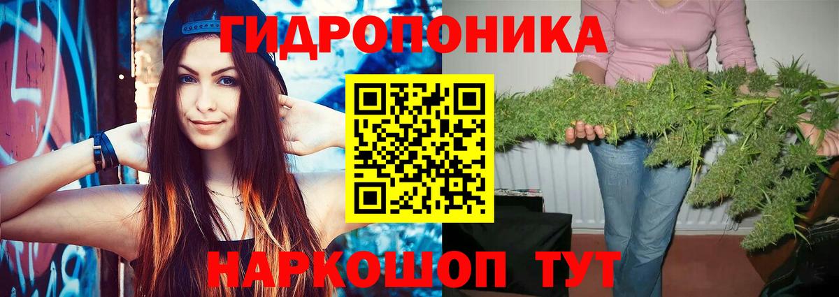 Канабис Amnesia  Вход с VPN  Конопля SATIVA & INDICA  Москва  Каннабис гибрид 